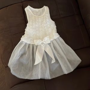 Wedding dress for dogs